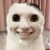_matbe_bal_