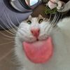 ellieegglestonoffical