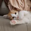 cute.bibi0