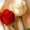 user2051242063082