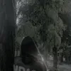 barderxssj7
