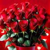 muhammad.safdar45311