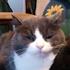 f126521