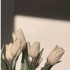 andre_949313