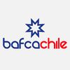 BAFCA Ballet Folclórico