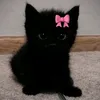 suu_zxz3