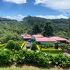 Finca Cafetalera La Virgen