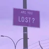 user534361597212010