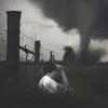 _i8ib