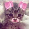 charray_perez6