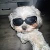 maddie.40911