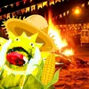 festeru.vr