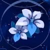 bluebellii_