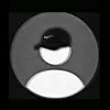 moon_cat.41