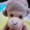 fred.1ok