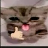 yoeyb1