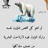 amir.ali257356252