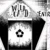 wildcard282