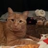 sammie201264
