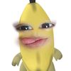 deliacantiii