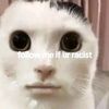 asianhitler