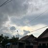 litong873