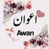 malik.awan.2025