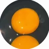 trumsucfi5
