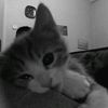 niorn_