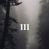 111