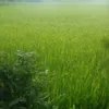 user7430872610238
