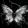 anjay_2435