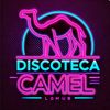 discotecagigantecamel