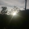 rizzz13_36xhh1