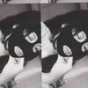 kirana_fens_gsky