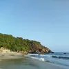 jimee.nguyen1701