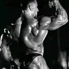assuki_lifts