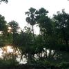 rakibul.hasan7956