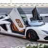 qung.l868