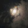 random_oficial8