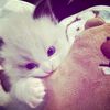 lluvvvzall