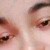 ashveyfi.wyd.witr
