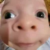 .lawrenz2