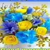 waqascheema480