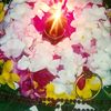 janithhashan323