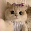 nan.thiri.san36