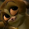 inashquishy