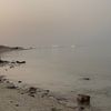 majedalmansori4