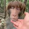 ferdi_ettok055