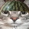 kayyroblox0